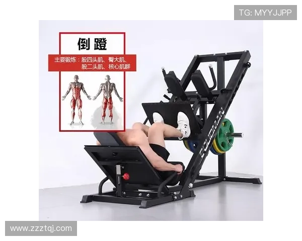 蜷腿健身器材的功能及训练效果 蜷腿健身器材的功能及训练效果