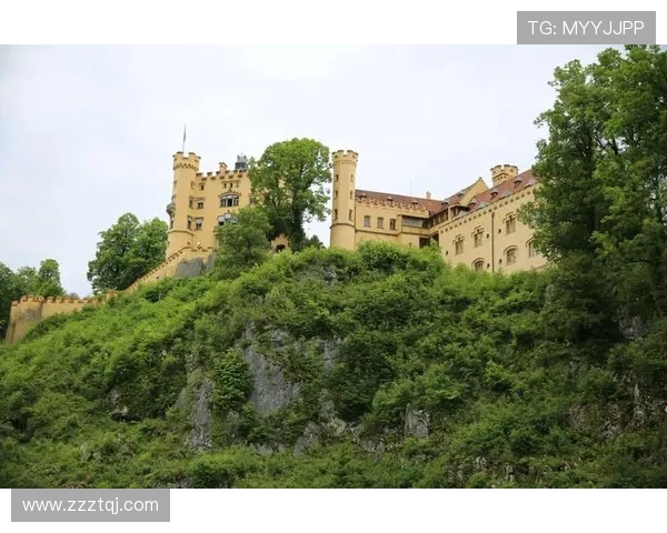 黑白军团与南大王：德国足球哲学的双重镜像与传承之路